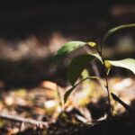 Nowe przepisy dotyczące pieców od 2030 roku – czego się spodziewać?